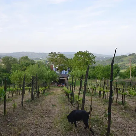 农家乐 La Terrazza Delle Noci - Agrituristico Lioni