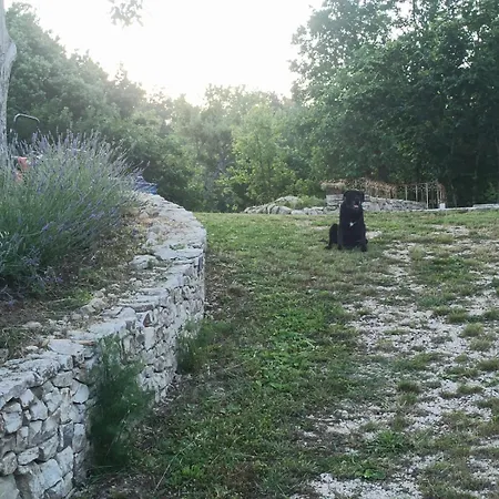 La Terrazza Delle Noci - Agrituristico ファームステイ Lioni