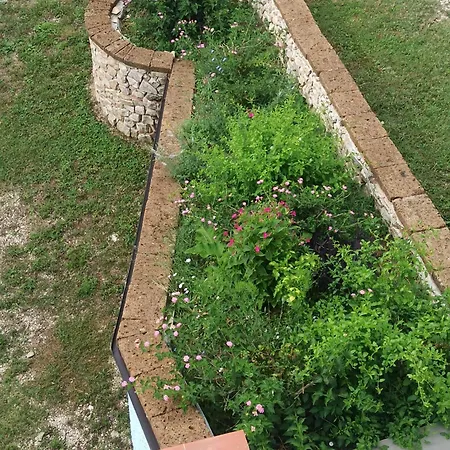 Farm stay La Terrazza Delle Noci - Agrituristico