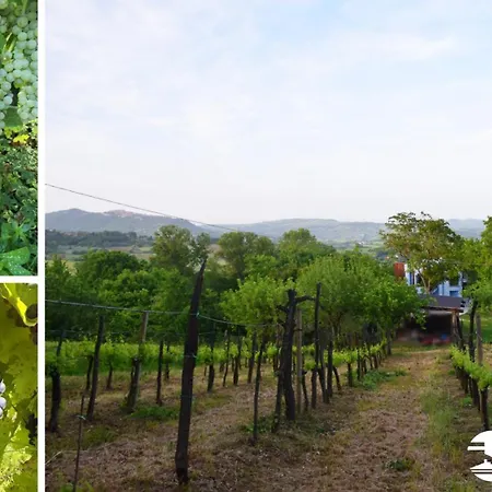 ファームステイ La Terrazza Delle Noci - Agrituristico *